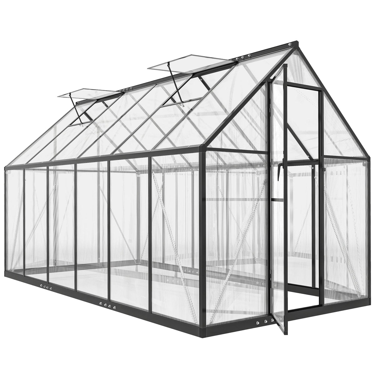 11' x 6' Polycarbonate Walk-in Greenhouse, Black — product view 1