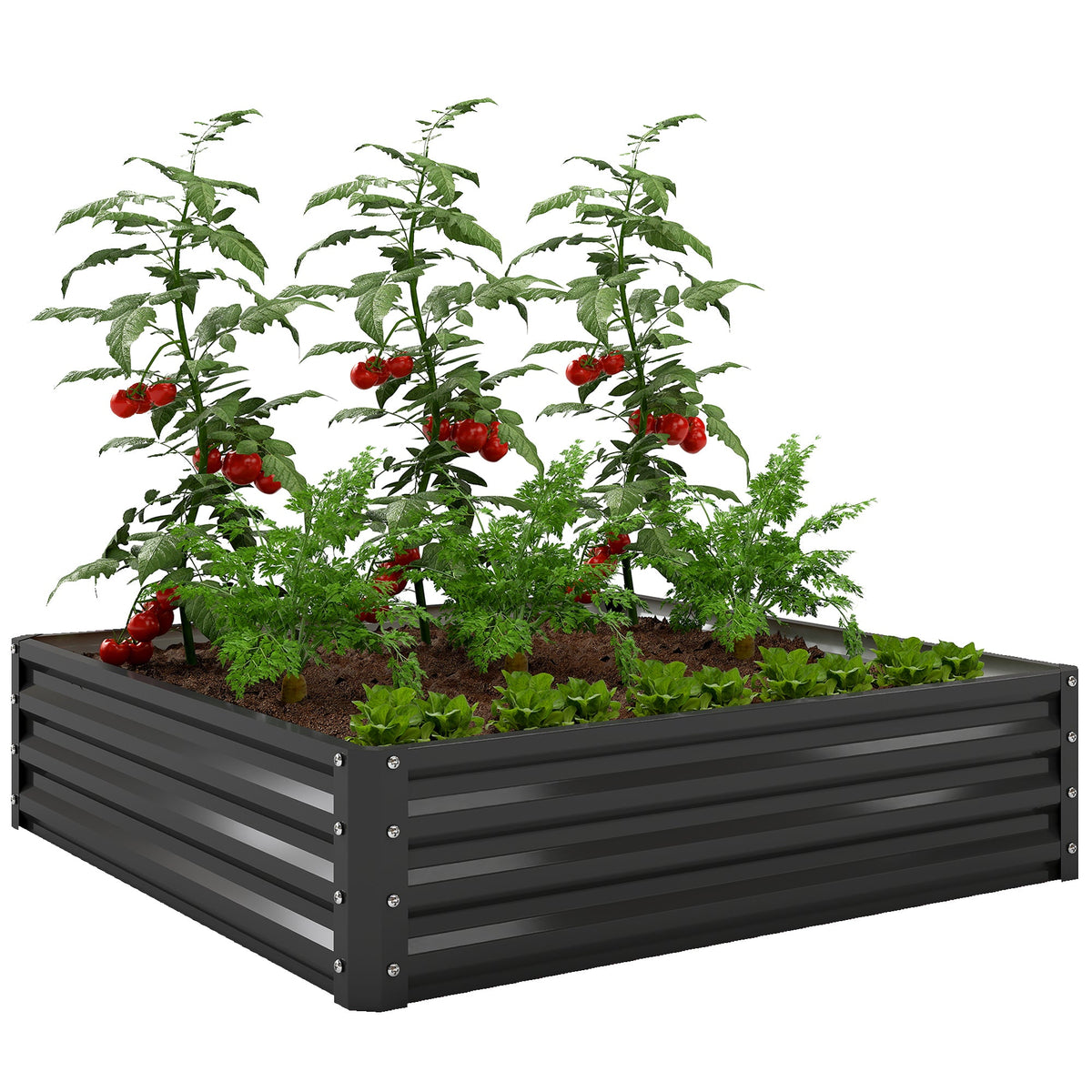 4' x 4' x 1' Galvanized Raised Garden Bed for Vegetables, Black — product view 1