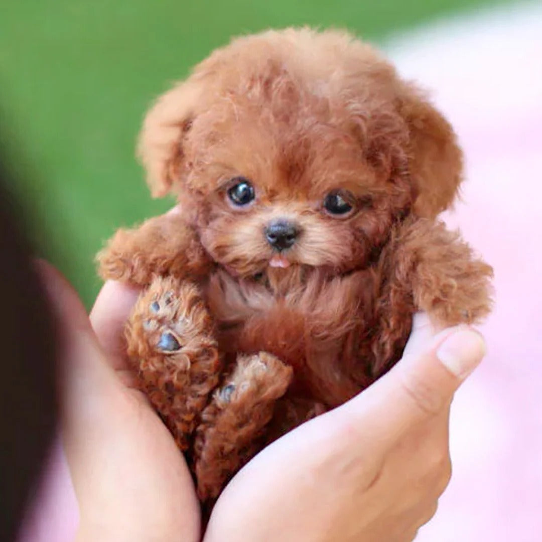 Realistic Robotic Puppy — product view 2