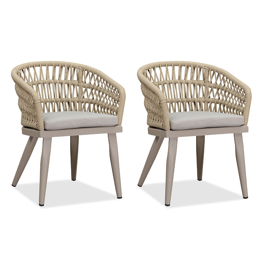 PURPLE LEAF 2 Pieces Patio Dining Chair All-Weather Rattan Outdoor Dining Chair Set with Aluminum Frame for Garden Backyard Deck — product view 1
