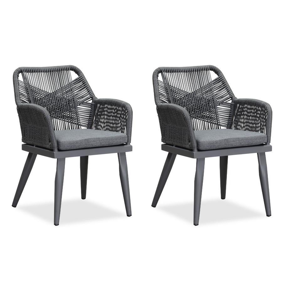 PURPLE LEAF Outdoor Dining Chair Set of 2 All-Weather Rattan Modern Dining Chair with Aluminum Frame for Kitchen Backyard Deck — product view 1